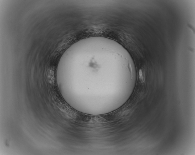 X0000102241203200808081428