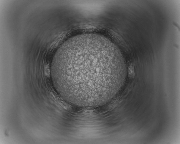 X0000102241204200808081428