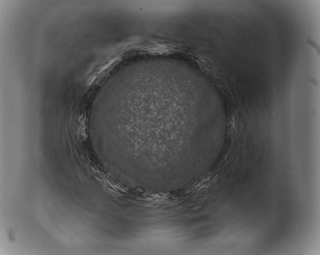 X0000102241205200808081428