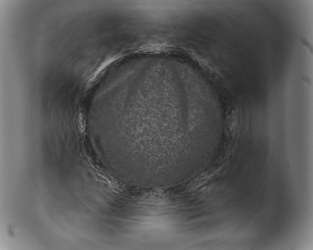 X0000102241206200808081428