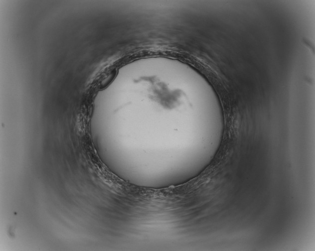 X0000102241207200808081428