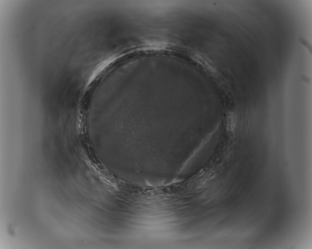 X0000102241208200808081428