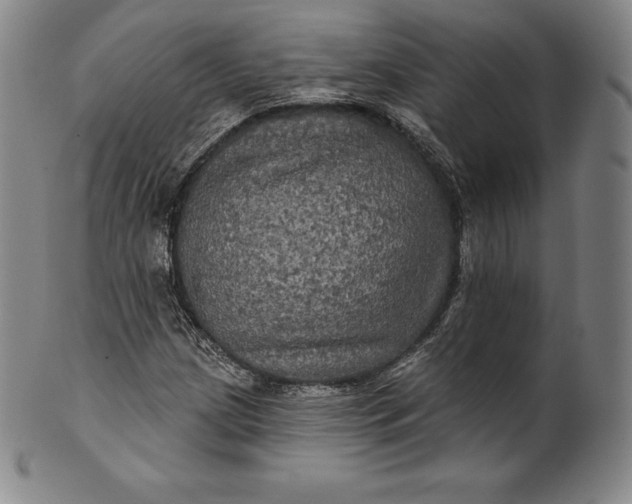 X0000102241209200808081428