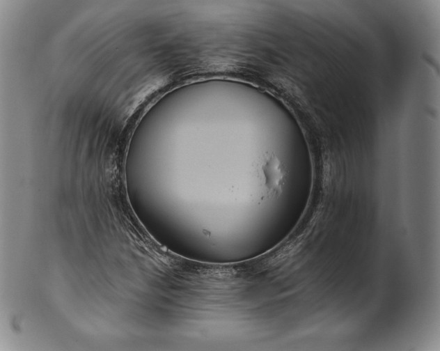 X0000102241210200808081428