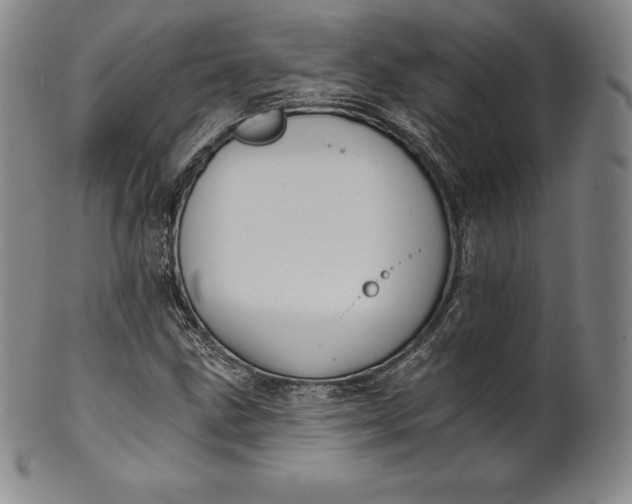 X0000102241211200808081428