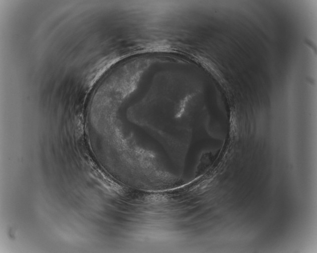 X0000102241212200808081428