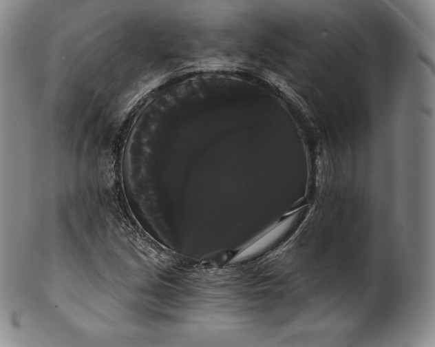 X0000102241213200808081428