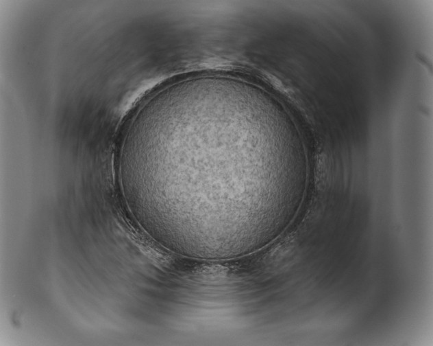 X0000102241214200808081428