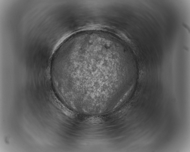 X0000102241216200808081428