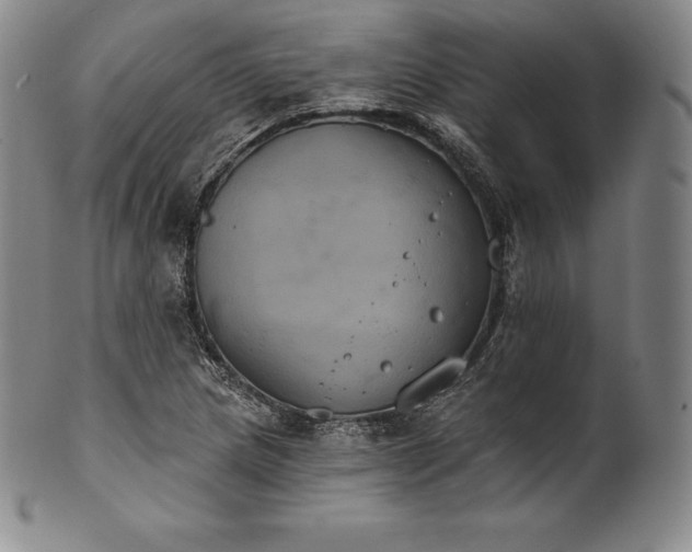 X0000102241217200808081428