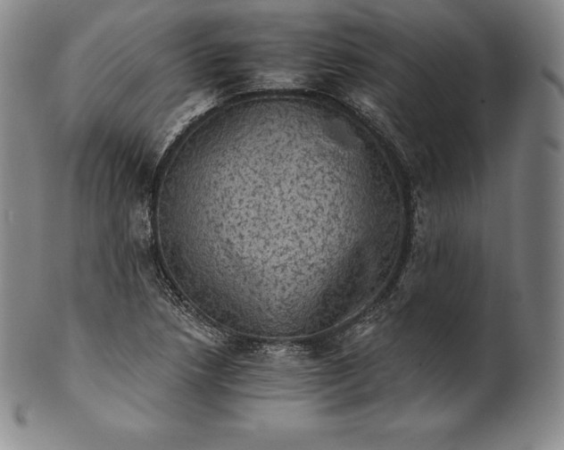 X0000102241218200808081428