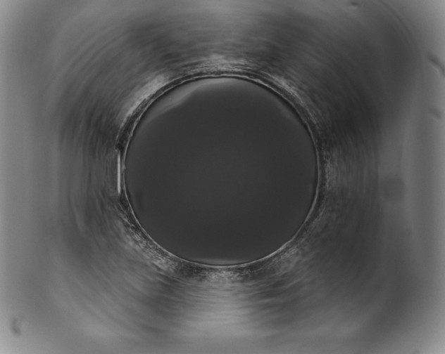 X0000102241219200808081428