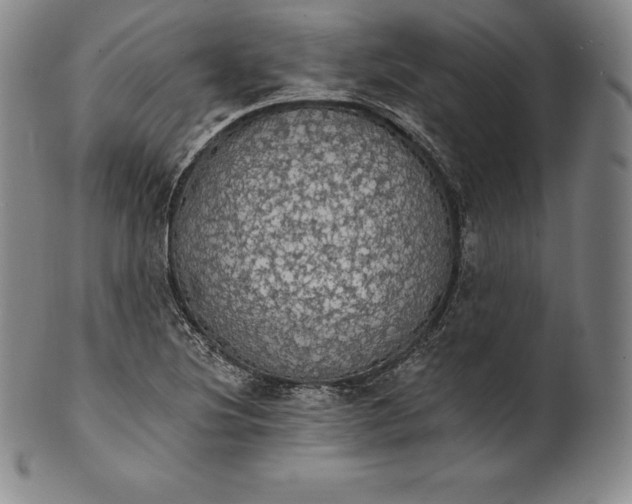 X0000102241220200808081428