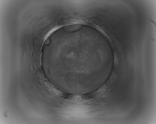 X0000102241222200808081428