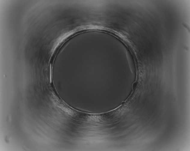 X0000102241223200808081428