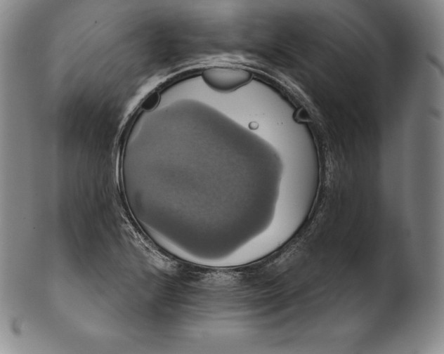 X0000102241224200808081428