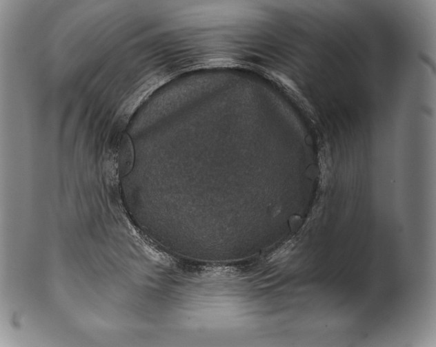 X0000102241225200808081428