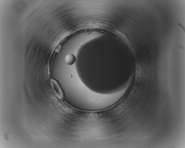 X0000102241226200808081428