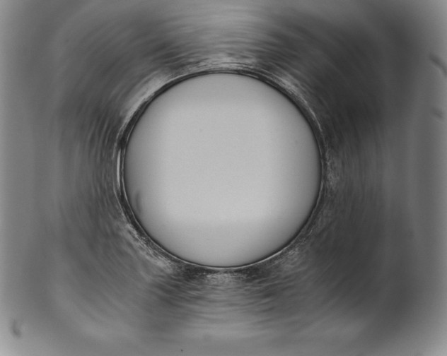 X0000102241227200808081428