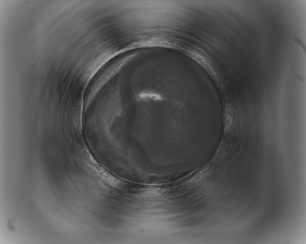 X0000102241228200808081428