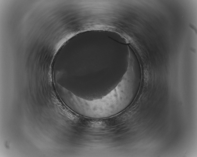 X0000102241230200808081428