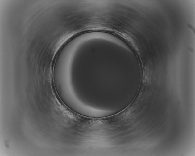 X0000102241231200808081428