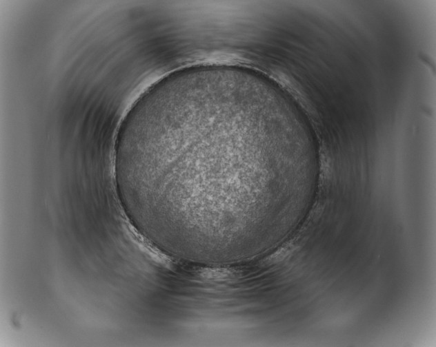 X0000102241232200808081428