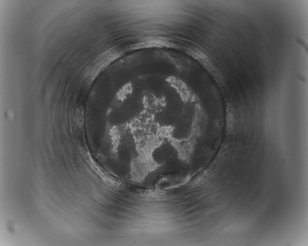 X0000102241233200808081428