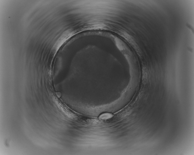 X0000102241234200808081428