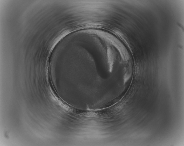 X0000102241235200808081428