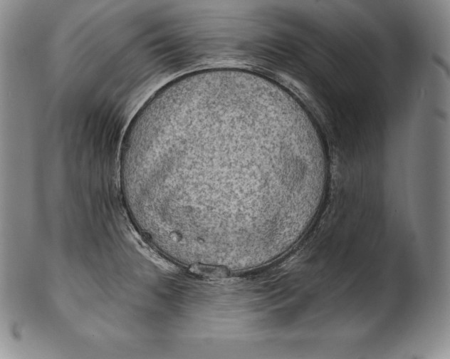 X0000102241236200808081428