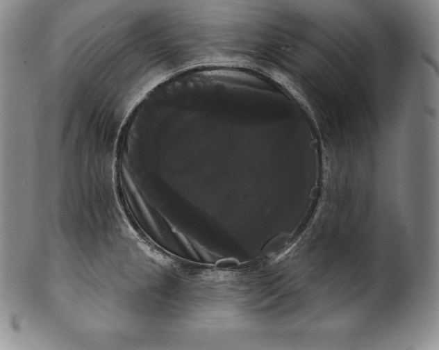 X0000102241237200808081428