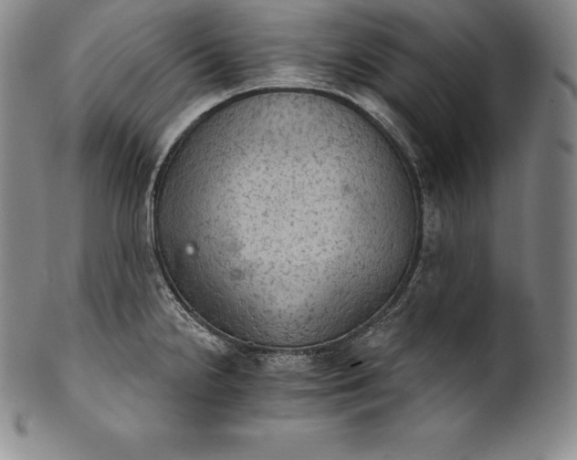 X0000102241238200808081428