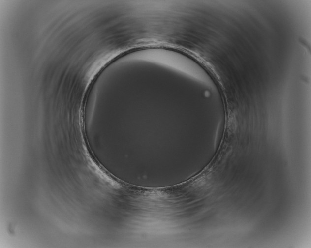 X0000102241239200808081428