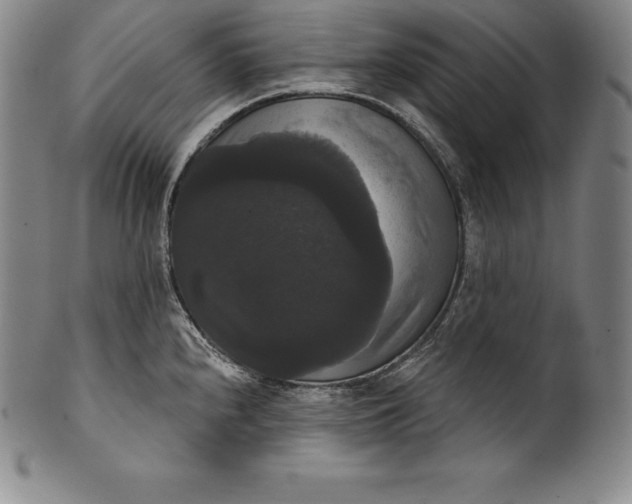 X0000102241240200808081428