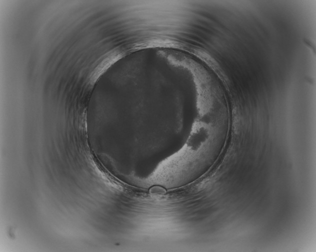 X0000102241241200808081428