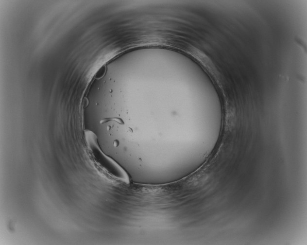 X0000102241242200808081428