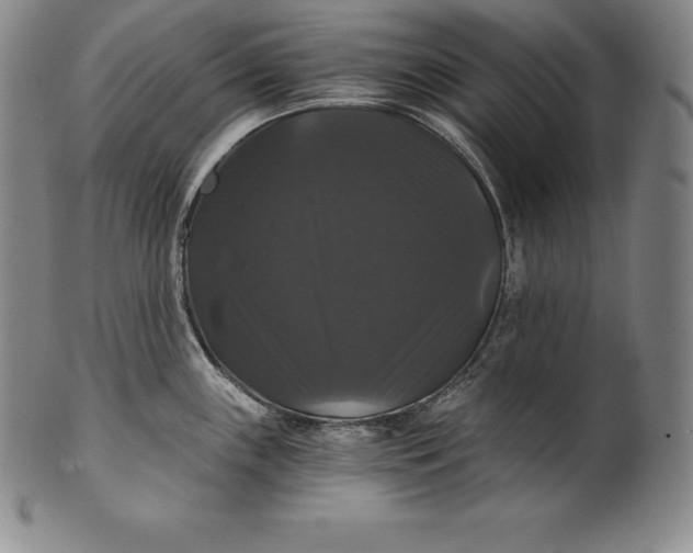 X0000102241243200808081428