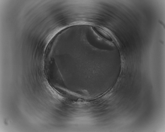 X0000102241244200808081428