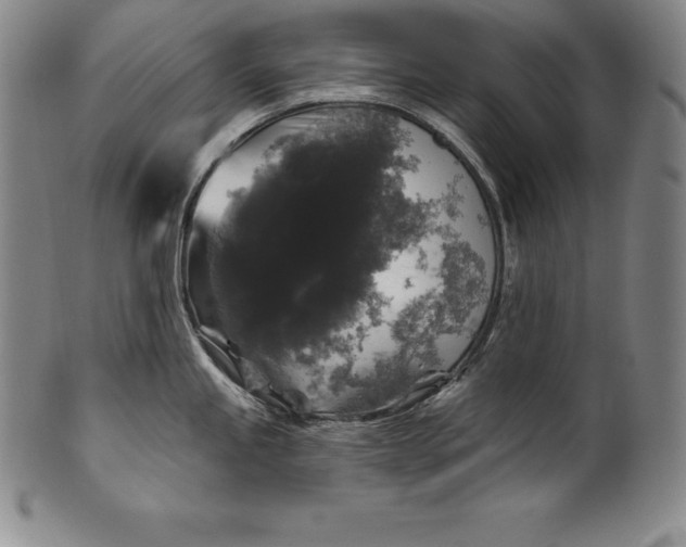 X0000102241245200808081428