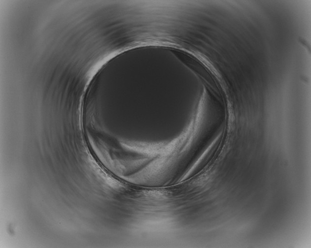 X0000102241246200808081428