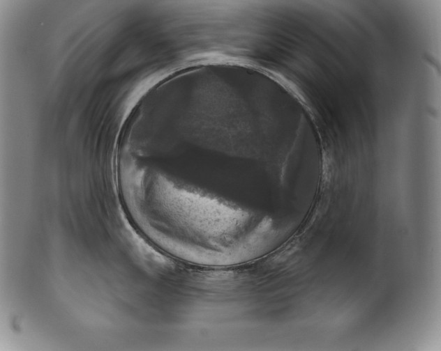 X0000102241247200808081428