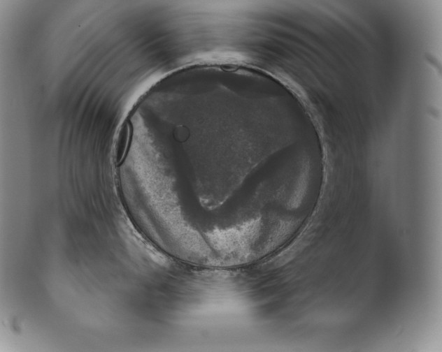 X0000102241248200808081428