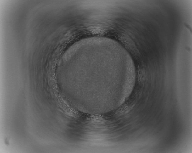 X0000102241249200808081428