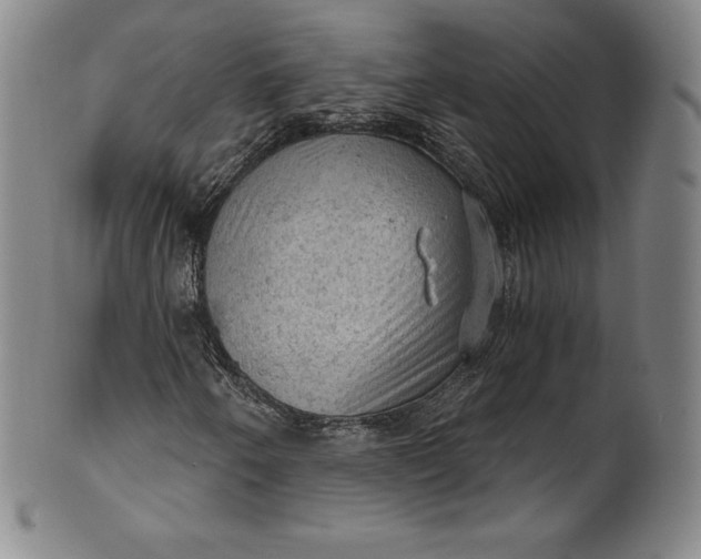 X0000102241250200808081428