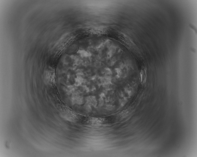 X0000102241251200808081428