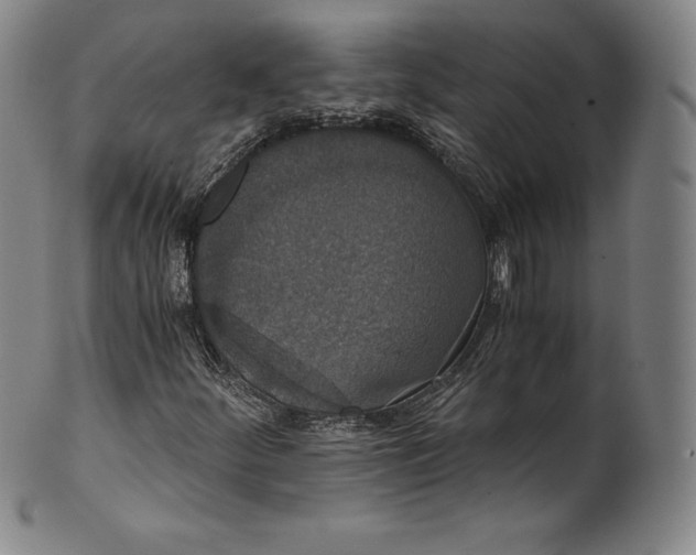 X0000102241252200808081428