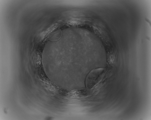 X0000102241253200808081428