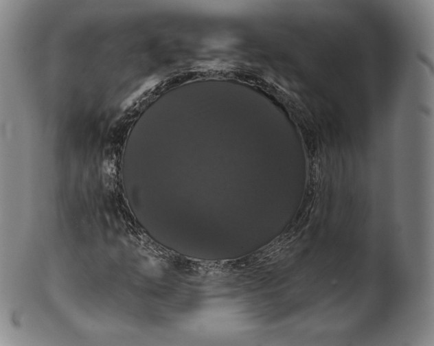 X0000102241254200808081428