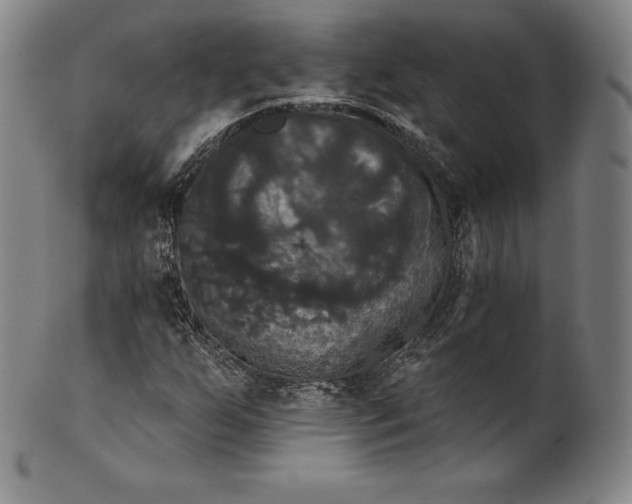 X0000102241255200808081428